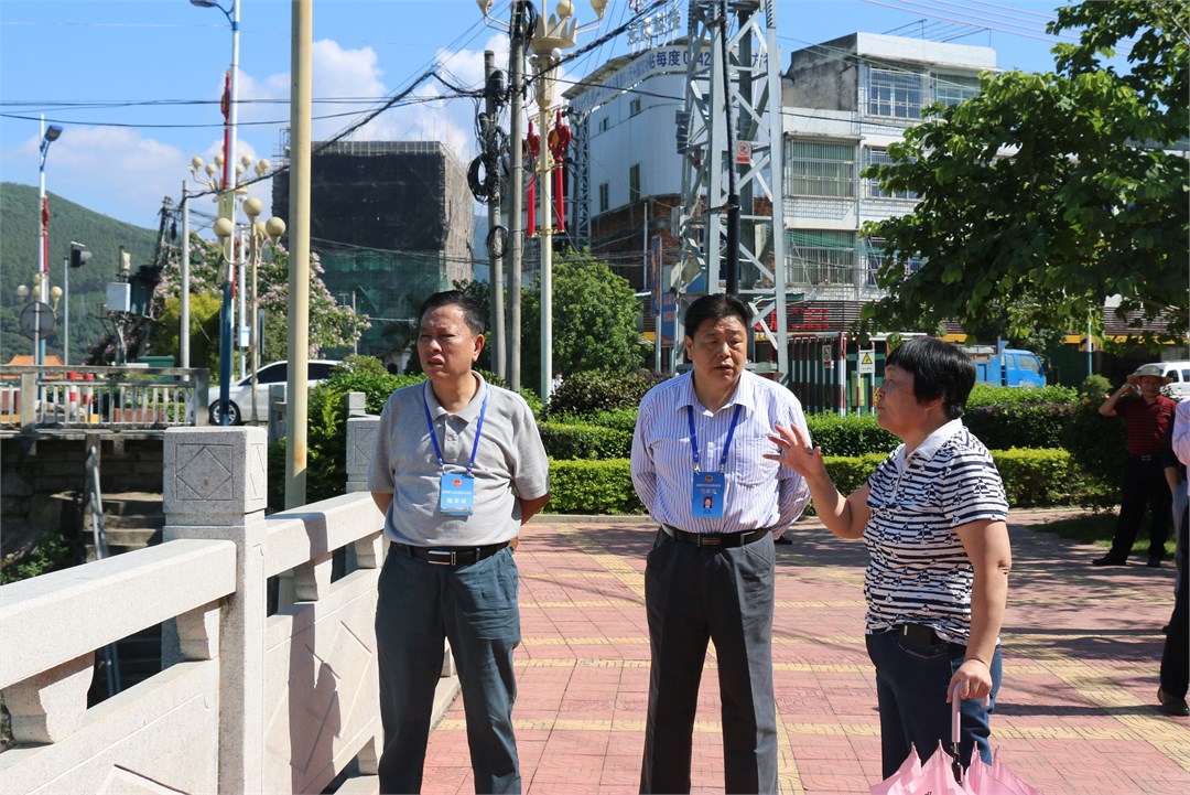 潮州市首次组织五级人大代表共同履职，保护黄冈河流域水环境，图为人大代表与流域周边群众亲切交谈.jpg